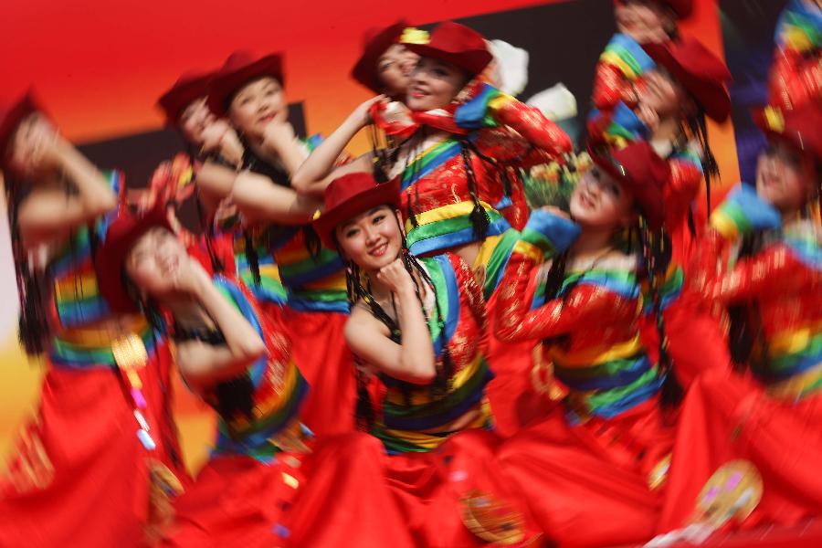 Art performance for overseas Chinese held in India