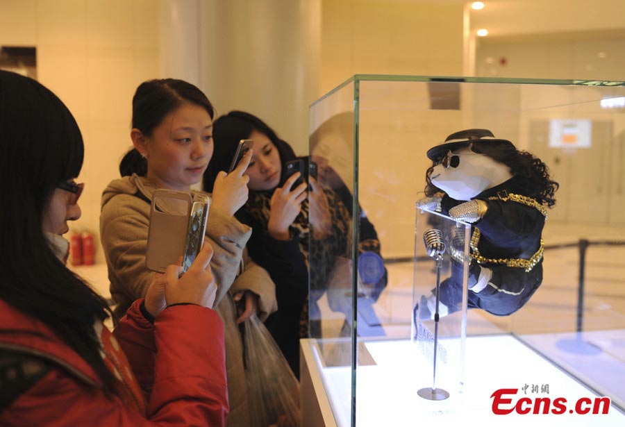 Charity exhibition raises money for panda protection
