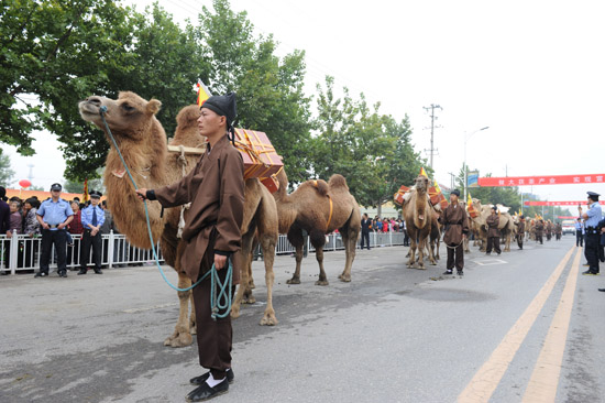 Silk Road Cultural Journey launched in NW China