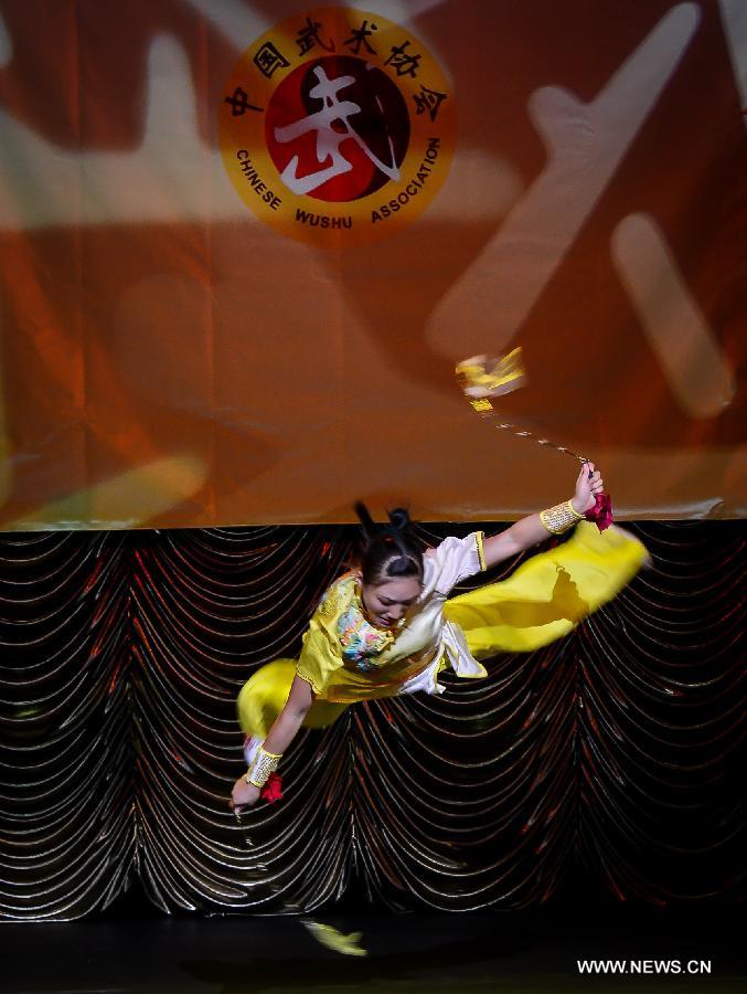 Chinese martial artists perform in kung fu show in S Africa