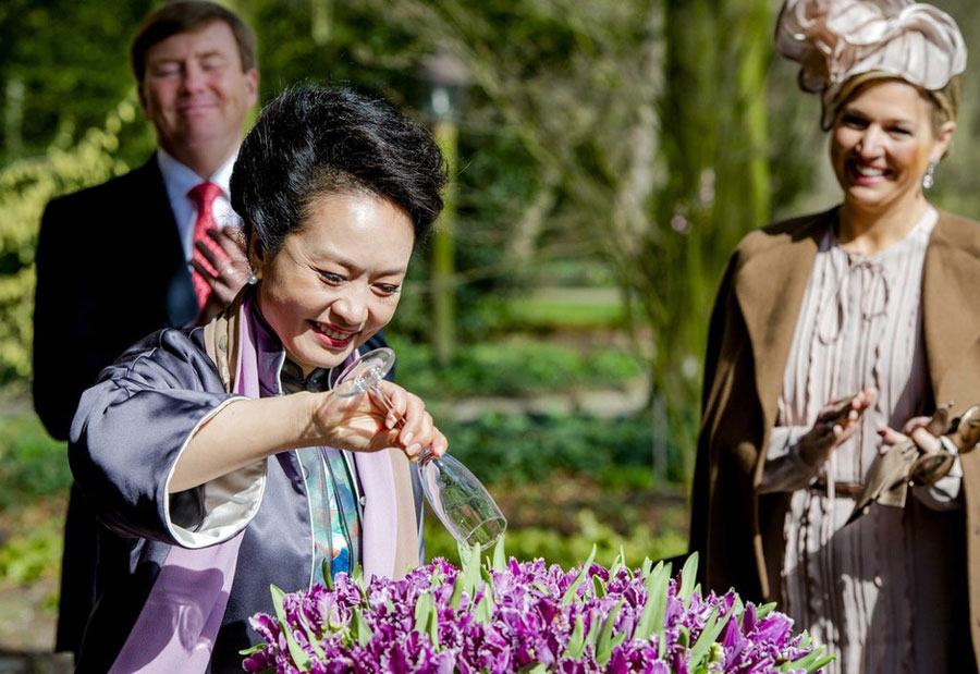 'Cathay' tulip named by Peng Liyuan shines in Beijing