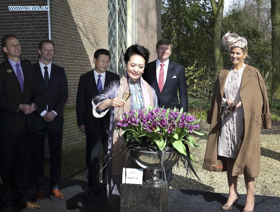 'Cathay' tulip named by Peng Liyuan shines in Beijing