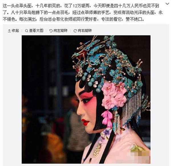 Peking Opera actress under fire for bird-feathers headdress