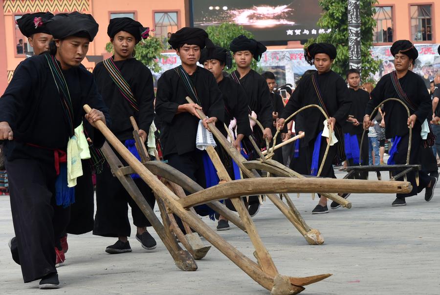 Cultural carnival parade held in China's Yunnan