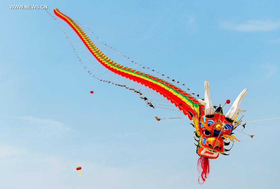 Kite festival kicks off in China's Nanchang