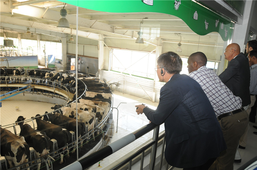 Diplomats explore Inner Mongolia's grassland