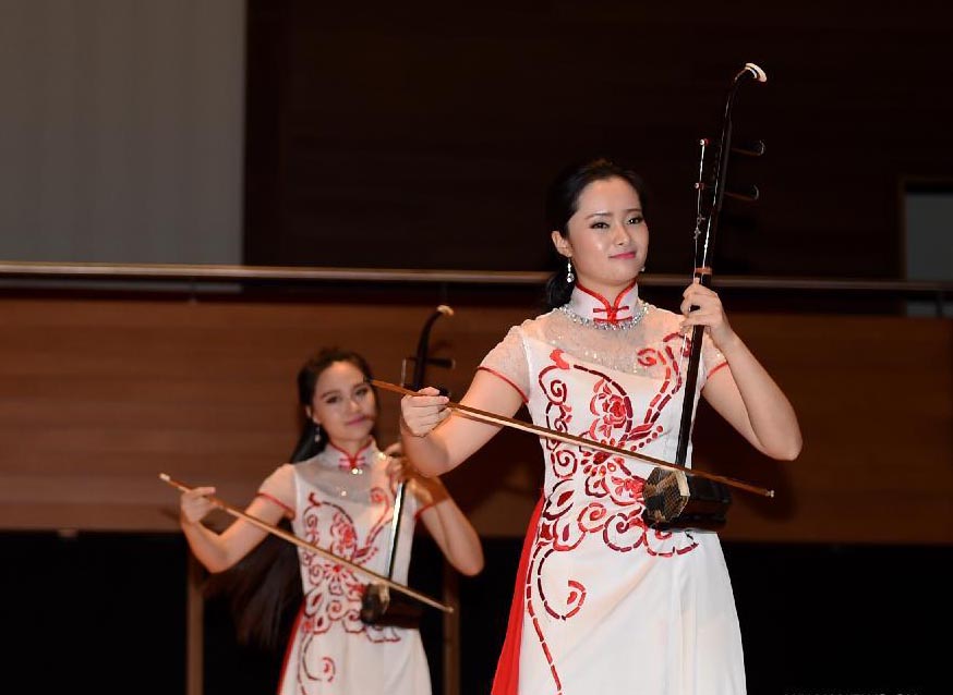 Zhejiang Culture Festival kicks off in Turkey