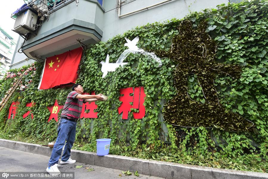 'Victory wall' of vines commemorates War of Resistance