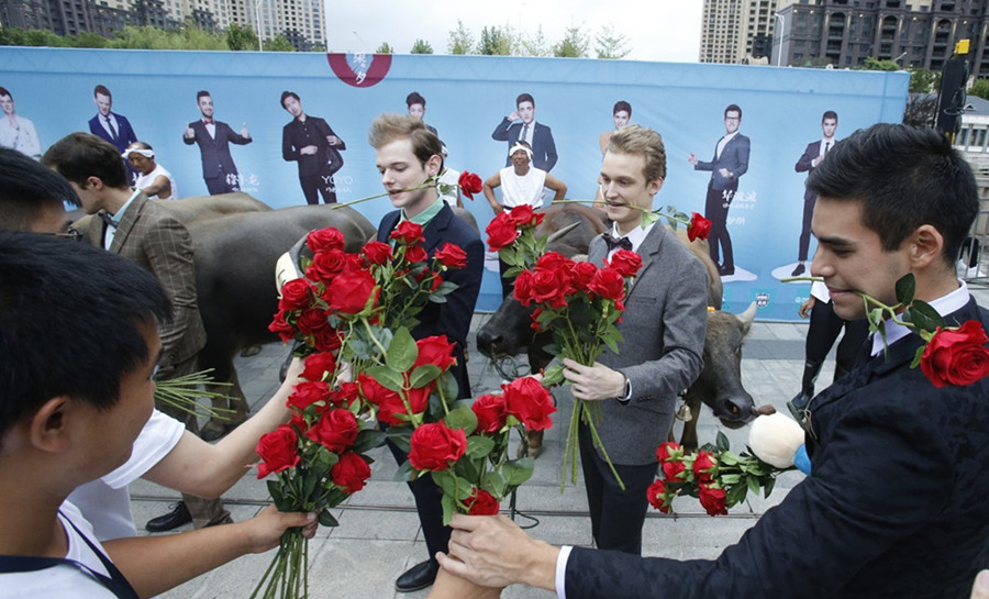 10 foreigners celebrate Chinese Valentine's Day with oxen in Wuhan