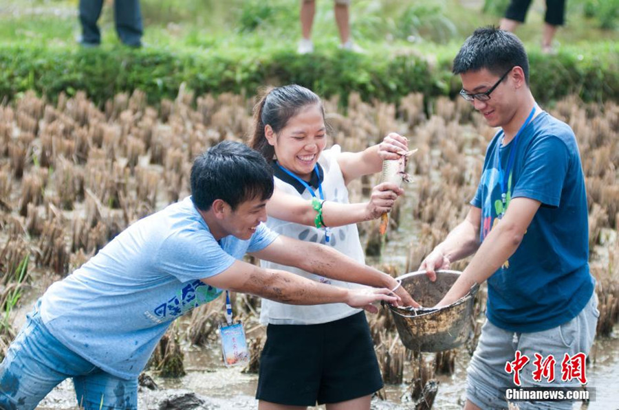 Miao people celebrate traditional 'grilling fish' festival