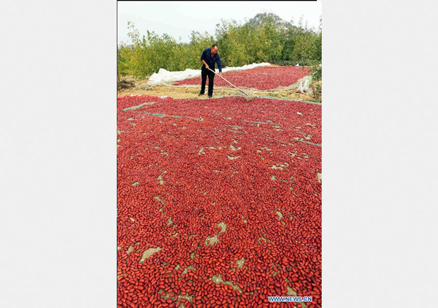 Scenery of autumn harvest around China