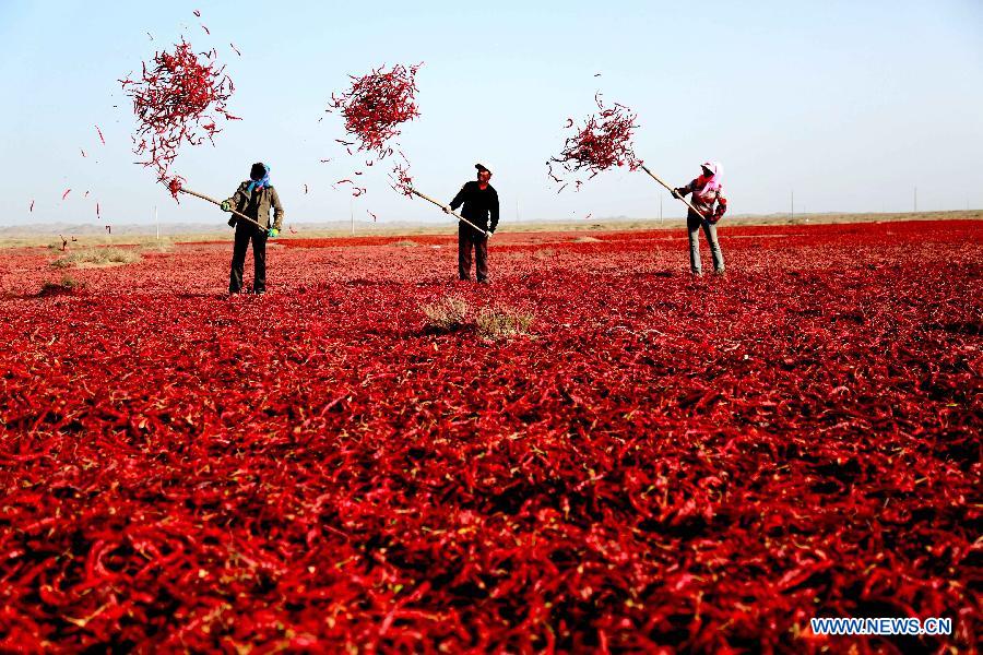Scenery of autumn harvest around China