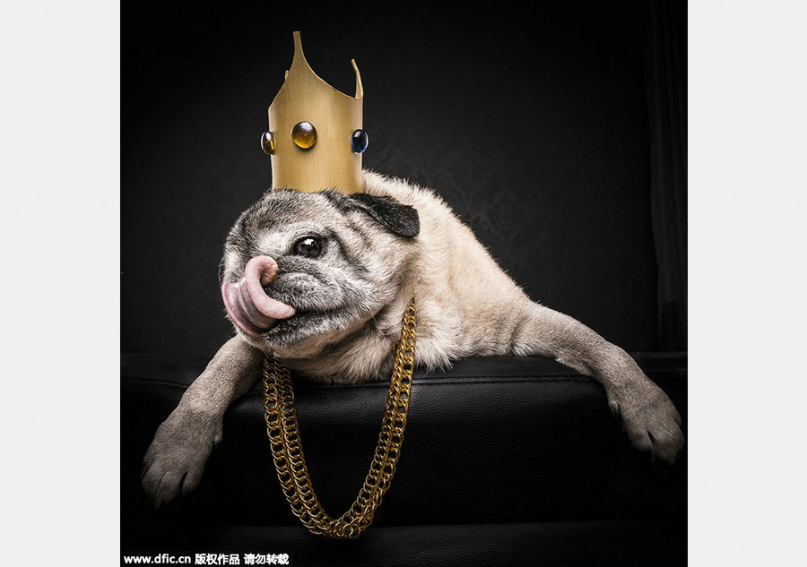 When pups catch up to hip-hop style