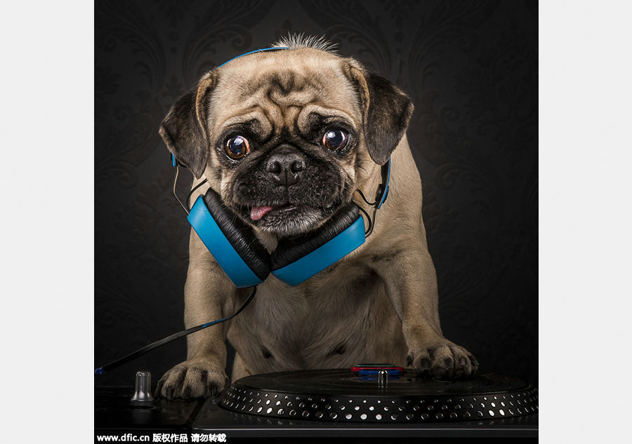 When pups catch up to hip-hop style