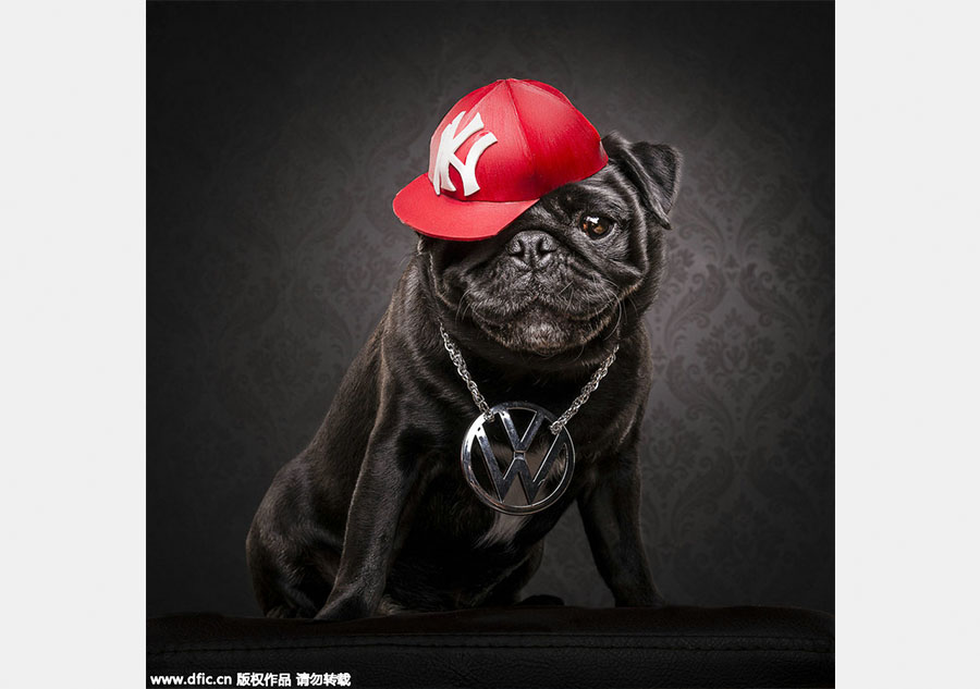 When pups catch up to hip-hop style