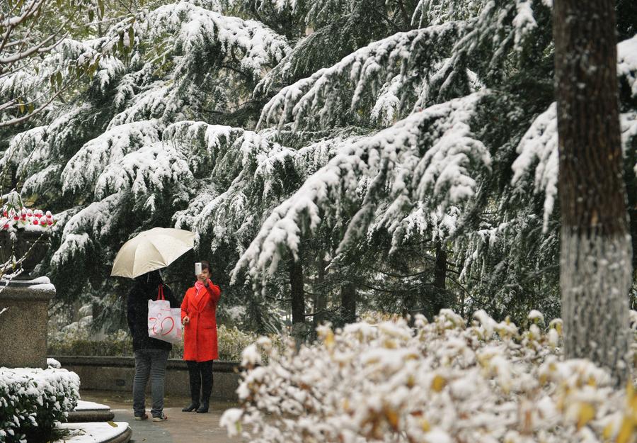 Snowfall brings beauty in Beijing winter