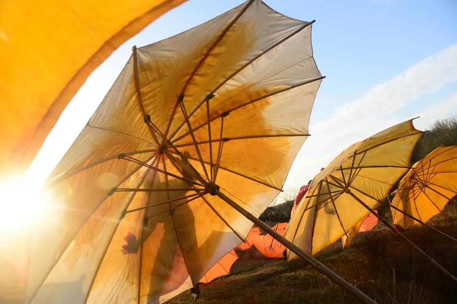 The beauty of traditional Anhui oilcloth umbrella