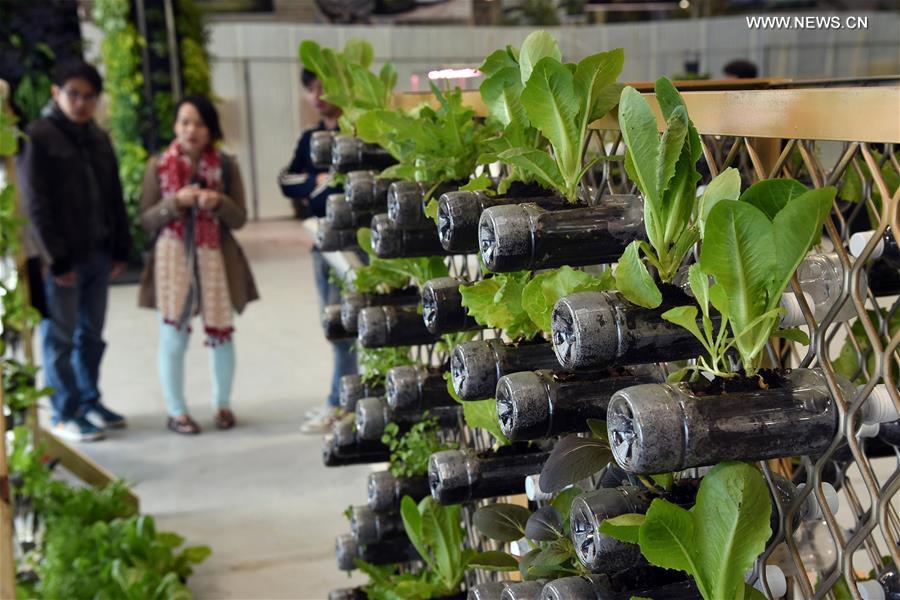 2015 Gardening Landscape & Green Roof Design Exhibition opens in Taipei