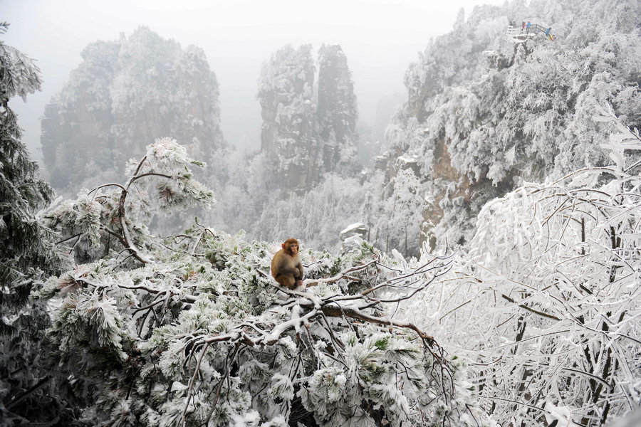 Beautiful moments of 2015 in China's great outdoors