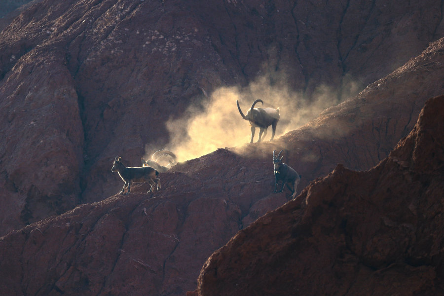 Beautiful moments of 2015 in China's great outdoors