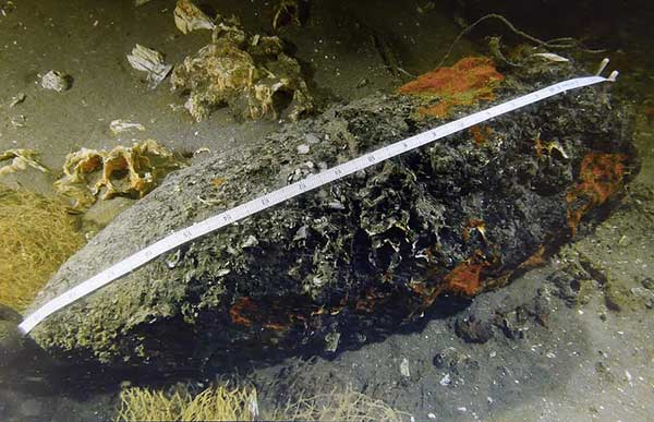 Sunken warship listed among China's top archaeological finds in 2015