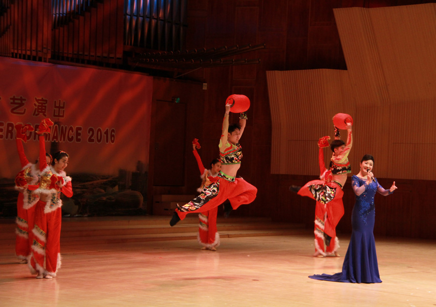 Cultural performances staged ahead of Spring Festival in Copenhagen