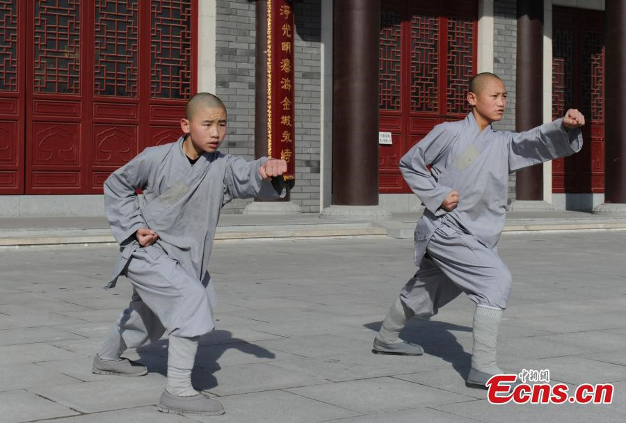 Young monks learn kungfu in NE China temple