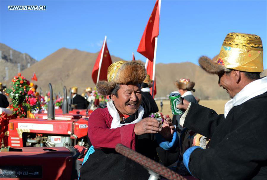 Farmers celebrate traditional spring ploughing in Tibet