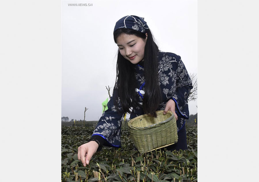 9th Yibin Spring Tea Festival opens in SW China