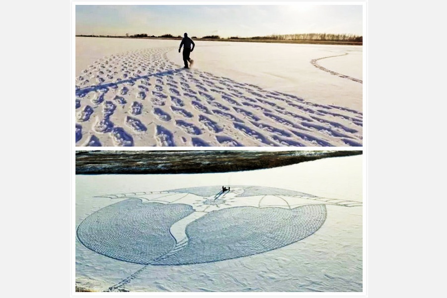 Gorgeous masterpiece created by walking in snow