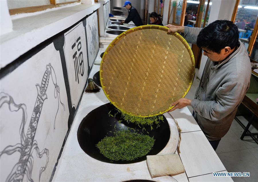 Ancient making technique of Chinese tea Biluochun