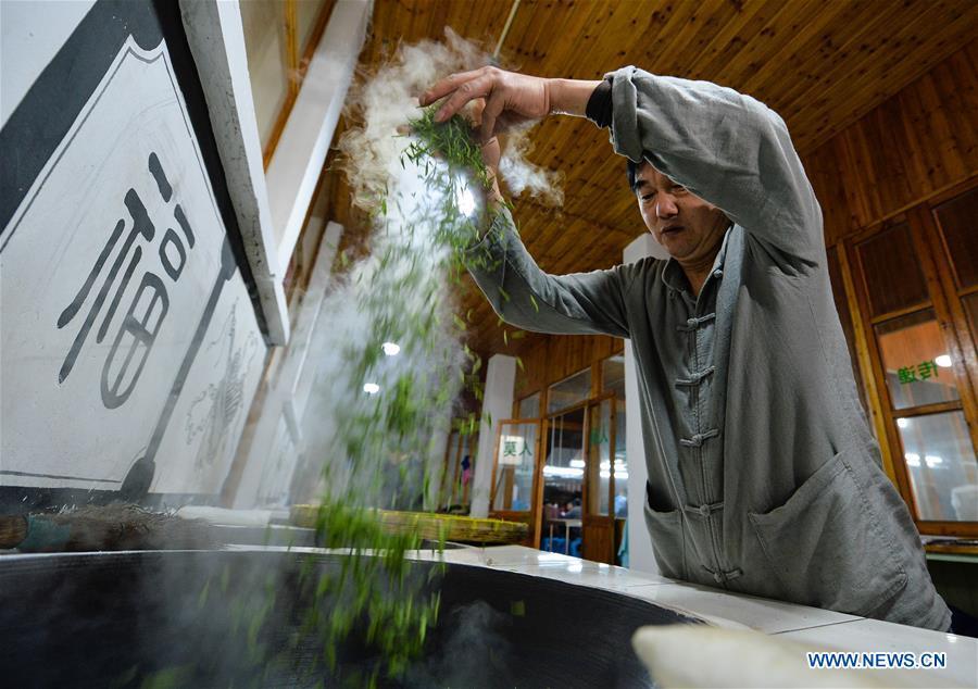 Ancient making technique of Chinese tea Biluochun