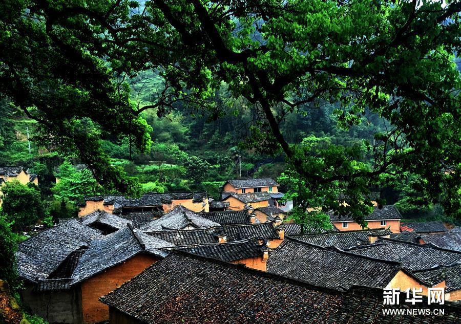 Saving ancient buildings in Zhejiang province