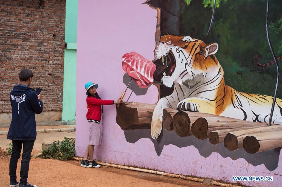Houses decorated with 3D paintings in Yunnan