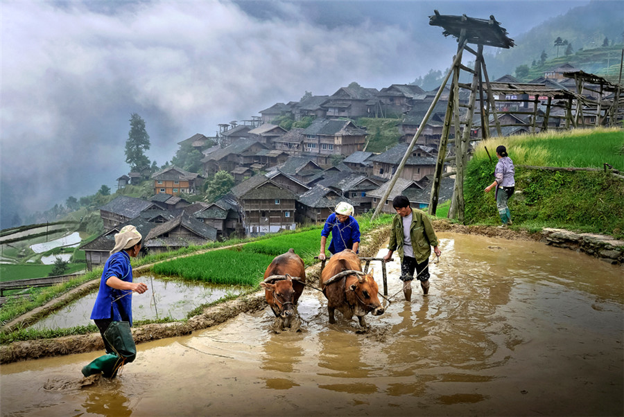 Images reveal life of Chinese Miao ethnic group