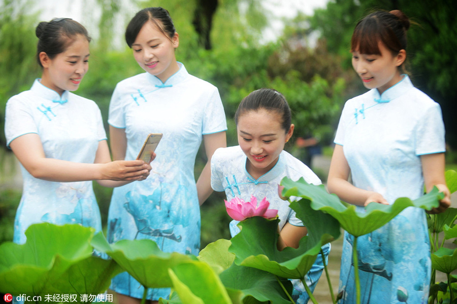 Females in qipao warm up the summer