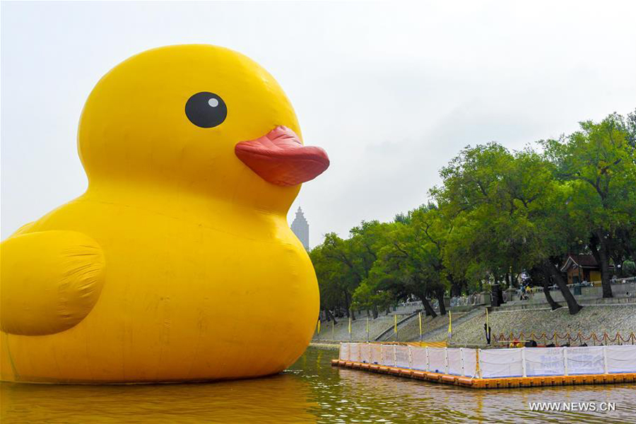 18-meter-high rubber duck seen in NE China