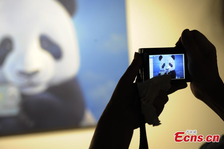 Panda art exhibition kicks off in Chengdu