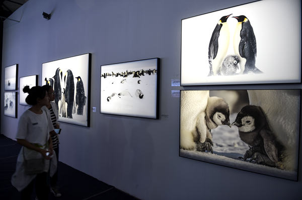 Chairman Mao's photographer wins life achievement award in Pingyao International Photography Festival