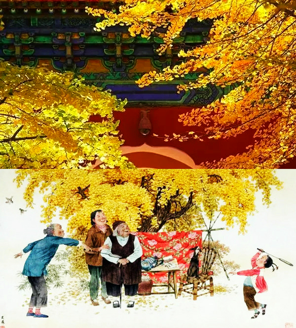 Enjoy Beijing's autumn, its best time