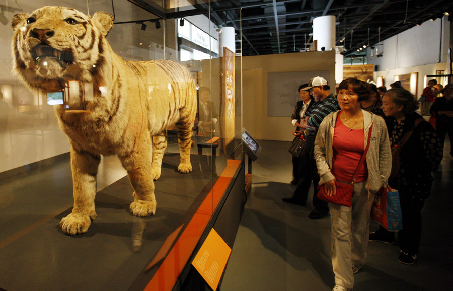 Extinction: Not the End of the World' highlights endangered animals[1]-  