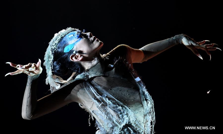 Yang Liping performs dance drama 'Peacock of Winter' in Kunming