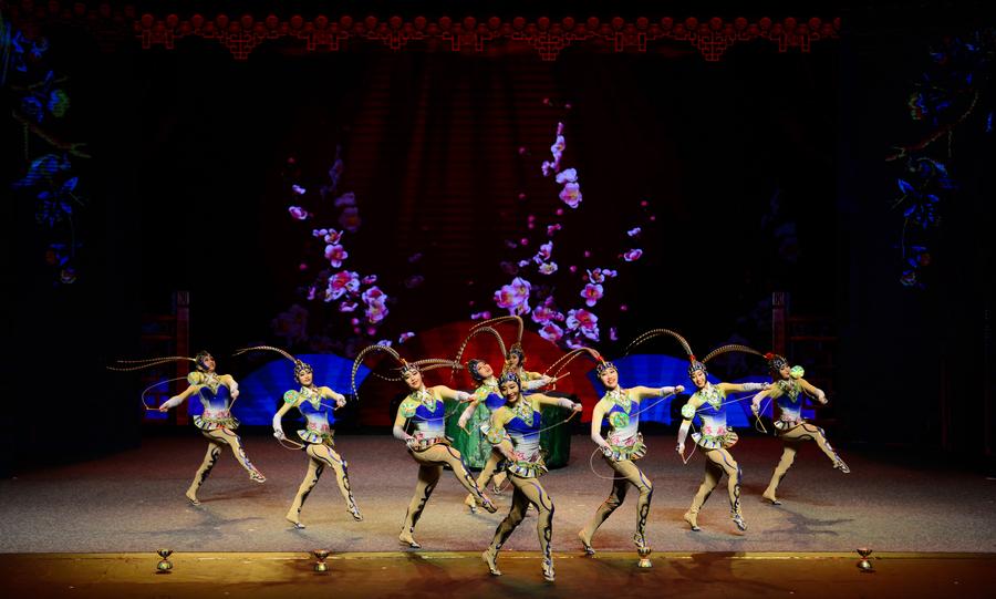 Chinese acrobats perform at China-South Africa gala
