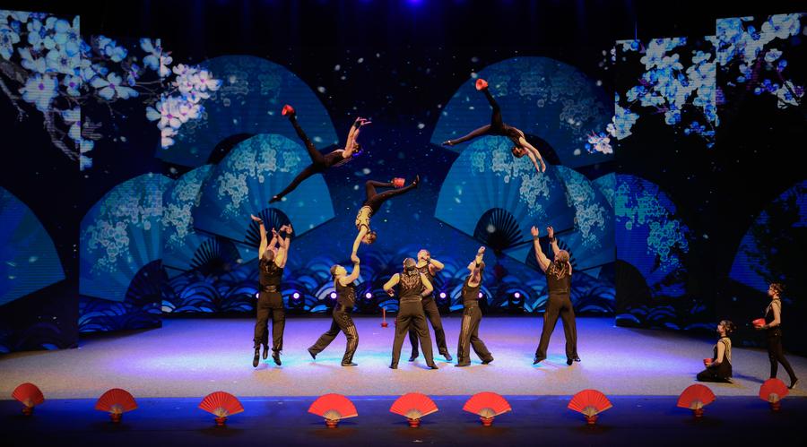 Chinese acrobats perform at China-South Africa gala