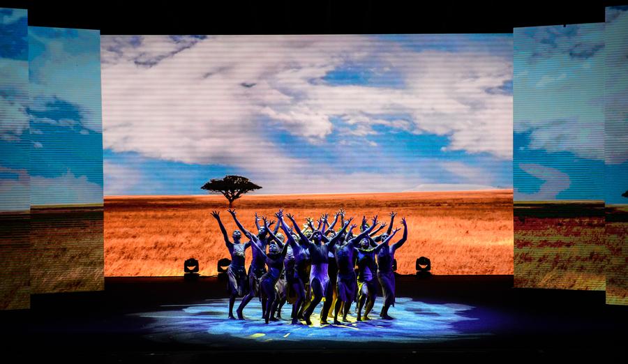 Chinese acrobats perform at China-South Africa gala