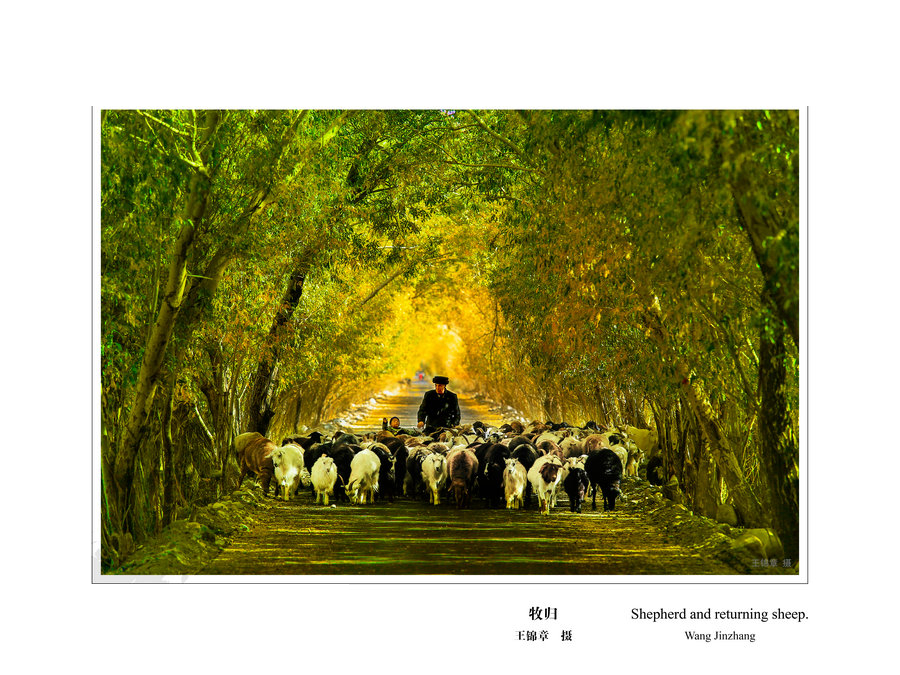 Chinese pastoral: A tale unchanged
