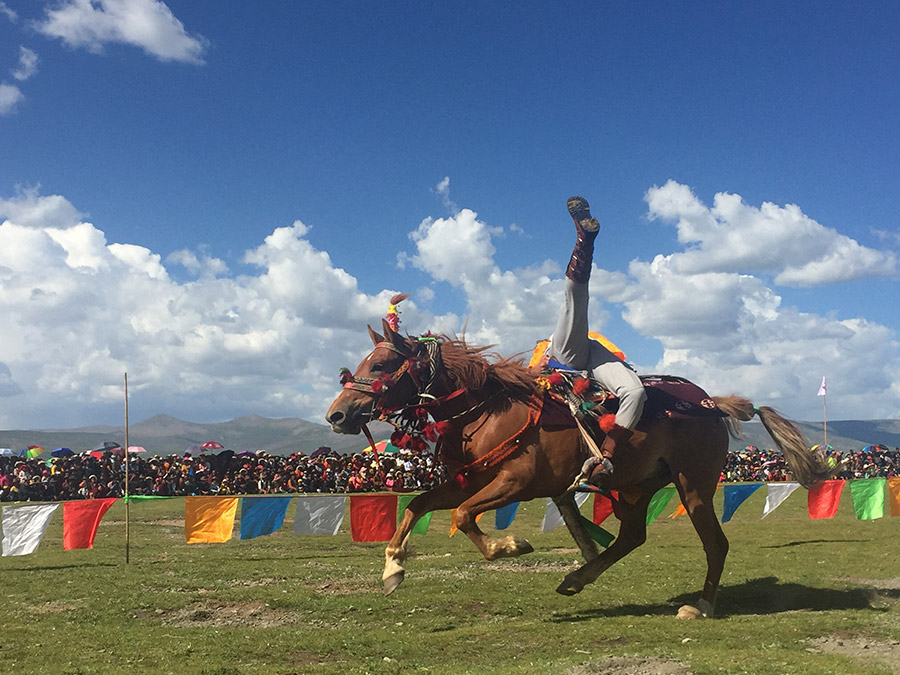 Horse riders impress audience at equestrian festival