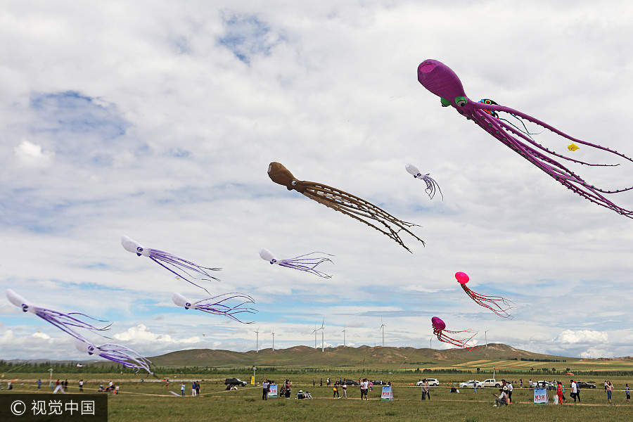 Int'l kite festival kicks off in Hebei