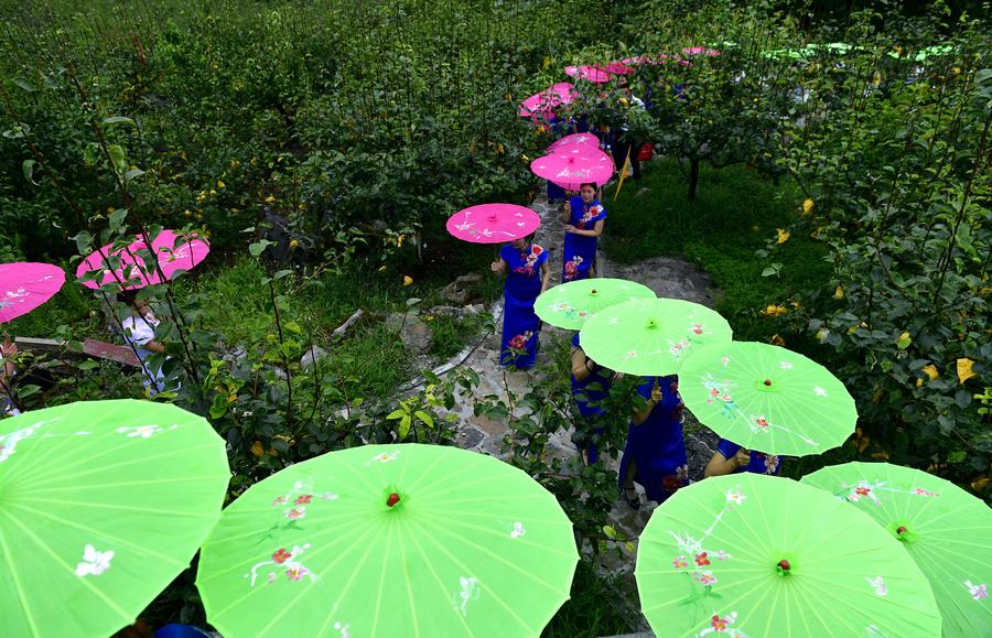 Women present traditional dress cheongsam in Hubei