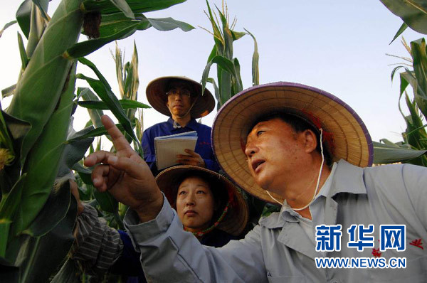 李登海：农民科学家的报国梦